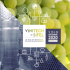 VINITECH-SIFEL-2020