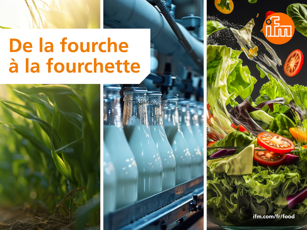 De la fourche à la fourchette : solutions pour l’alimentation de demain